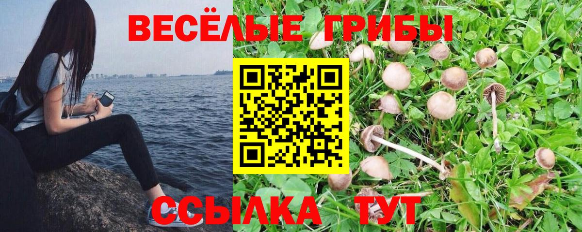 Тавда  Псилоцибиновые грибы мухоморы  Псилоцибиновые грибы мухоморы  Вход с VPN 